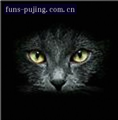 李昊